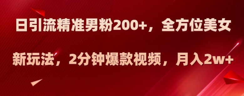 日引流精准男粉200+，全方位美女新玩法，2分钟爆款视频，月入2w+【揭秘】-如意资源库