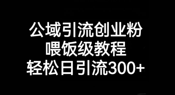 公域引流创业粉，喂饭级教程，轻松日引流300+【揭秘】-如意资源库