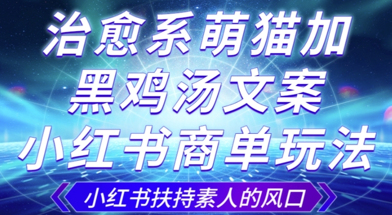 治愈系萌猫加+黑鸡汤文案，小红书商单玩法，3~10天涨到1000粉，一单200左右-如意资源库