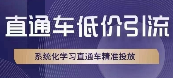 直通车低价引流课，系统化学习直通车精准投放-如意资源库