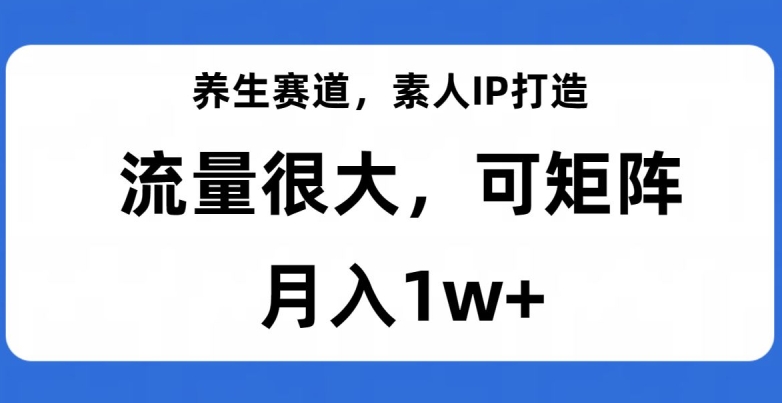 养生赛道，素人IP打造，流量很大，可矩阵，月入1w+【揭秘】-如意资源库
