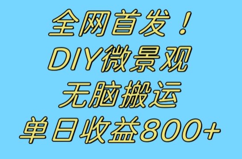 全网首发冷门赛道！DIY微景观，无脑搬运视频，日收益800+【揭秘】-如意资源库