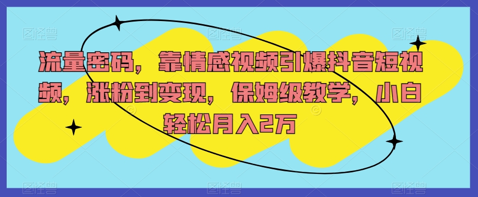 流量密码，靠情感视频引爆抖音短视频，涨粉到变现，保姆级教学，小白轻松月入2万【揭秘】-如意资源库