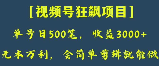 日收款500笔，纯利润3000+，视频号狂飙项目，会简单剪辑就能做【揭秘】-如意资源库