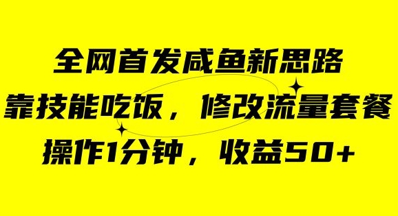 咸鱼冷门新玩法，靠“技能吃饭”，修改流量套餐，操作1分钟，收益50【揭秘】-如意资源库