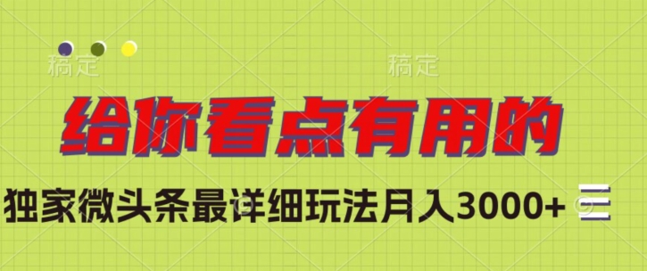 独家微头条最详细玩法，月入3000+【揭秘】-如意资源库