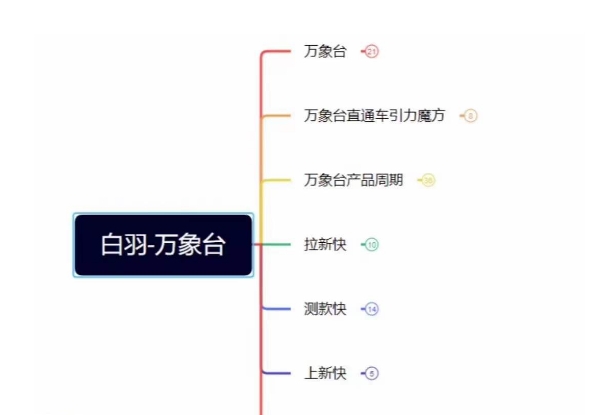 白羽·直引万搜索全篇，从0-1，多个类目实操经验总结付费-如意资源库
