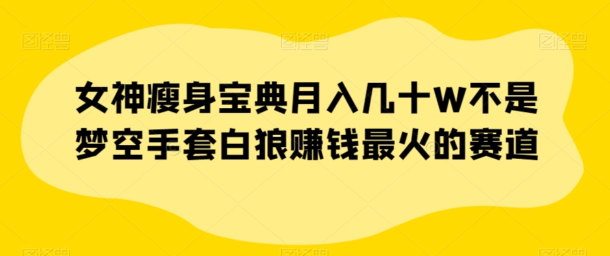 女神瘦身宝典月入几十W不是梦空手套白狼赚钱最火的赛道【揭秘】-如意资源库