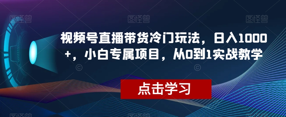 视频号直播带货冷门玩法，日入1000+，小白专属项目，从0到1实战教学【揭秘】-如意资源库