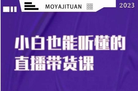 大威本威·能听懂的直播带货课，小白也能听懂，20节完整-如意资源库