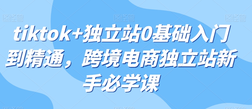tiktok+独立站0基础入门到精通，跨境电商独立站新手必学课-如意资源库