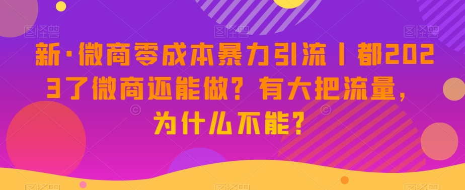 新·微商零成本暴力引流丨都2023了微商还能做？有大把流量，为什么不能？-如意资源库