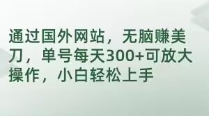 通过国外网站，无脑赚美刀，单号每天300+可放大操作，小白轻松上手【揭秘】-如意资源库