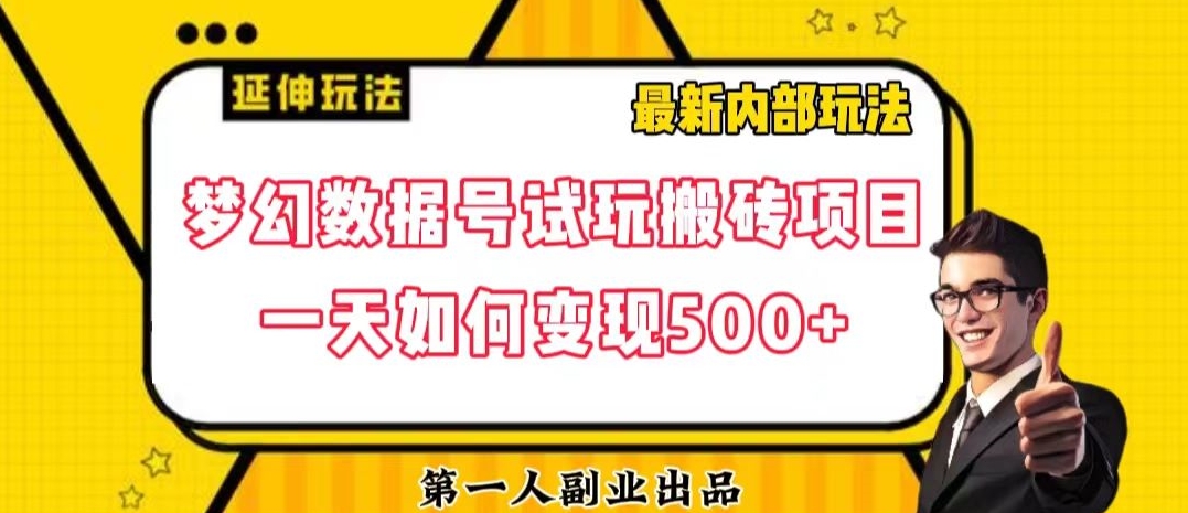 数据号回归玩法游戏试玩搬砖项目再创日入500+【揭秘】-如意资源库
