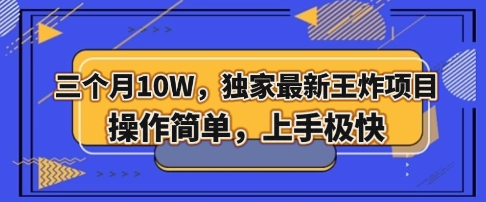 三个月10W，独家最新王炸项目！操作简单，上手极快【揭秘】-如意资源库