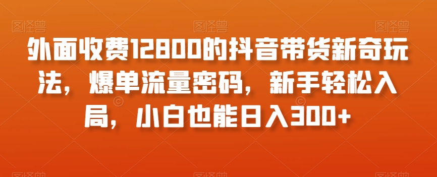 外面收费12800的抖音带货新奇玩法，爆单流量密码，新手轻松入局，小白也能日入300+【揭秘】-如意资源库