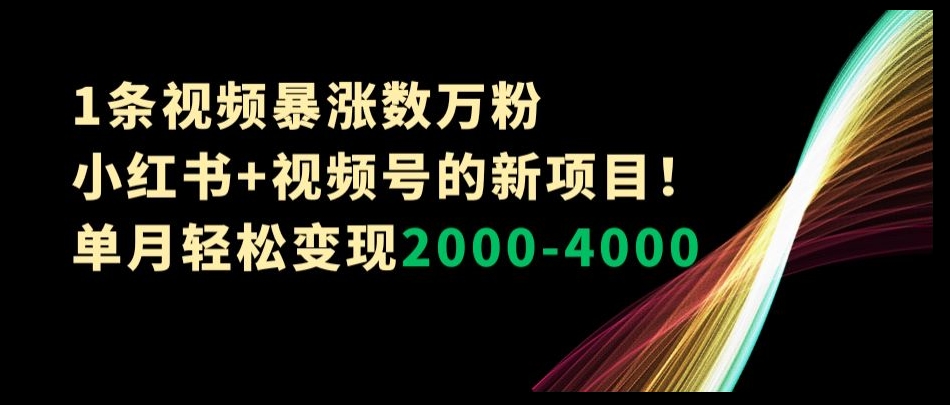 1条视频暴涨数万粉–小红书+视频号的新项目！单月轻松变现2000-4000【揭秘】-如意资源库