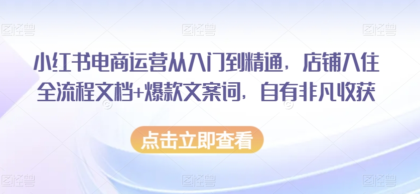 小红书电商运营从入门到精通，店铺入住全流程文档+爆款文案词，自有非凡收获-如意资源库