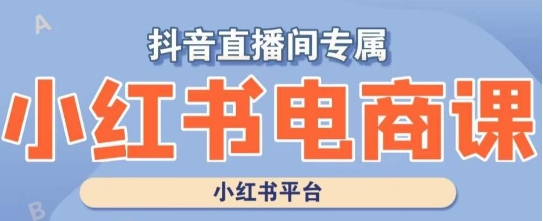小红书电商高级运营课程，实操教学+案例分析-如意资源库