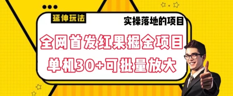 全网首发红果免费短剧掘金项目，单机30+可批量放大【揭秘】-如意资源库