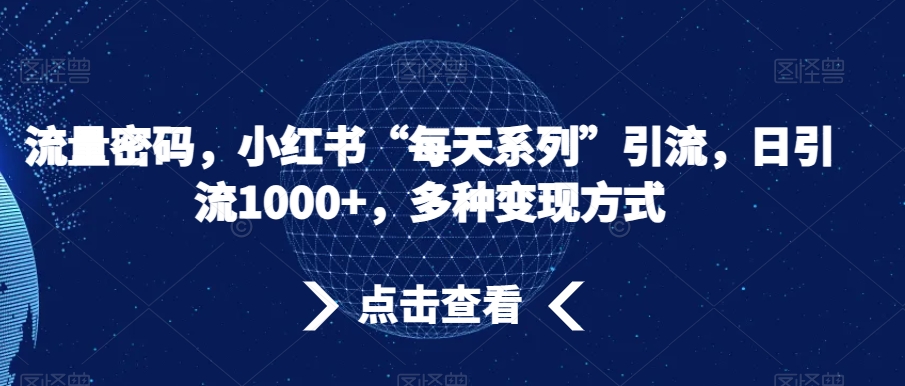 流量密码，小红书“每天系列”引流，日引流1000+，多种变现方式【揭秘】-如意资源库