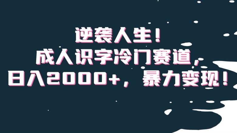 逆袭人生！成人识字冷门赛道，日入2000+，暴力变现！【揭秘】-如意资源库