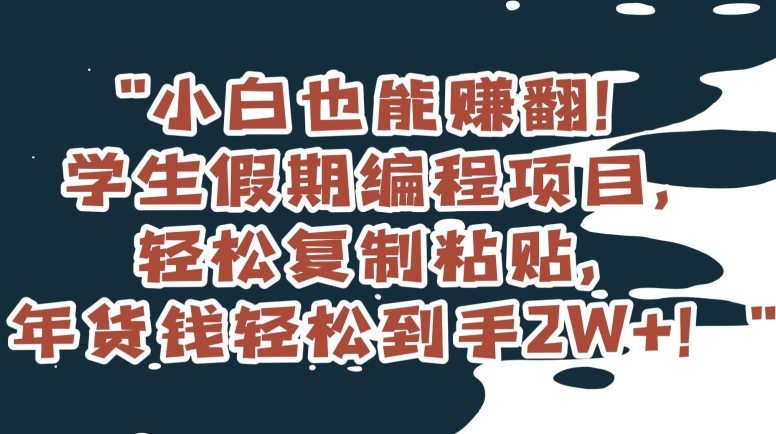 小白也能赚翻！学生假期编程项目，轻松复制粘贴，年货钱轻松到手2W+【揭秘】-如意资源库