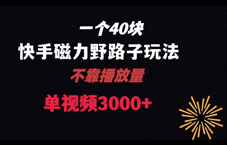 一个40块，快手联合美团磁力新玩法，无视机制野路子玩法，单视频收益4位数【揭秘】-如意资源库