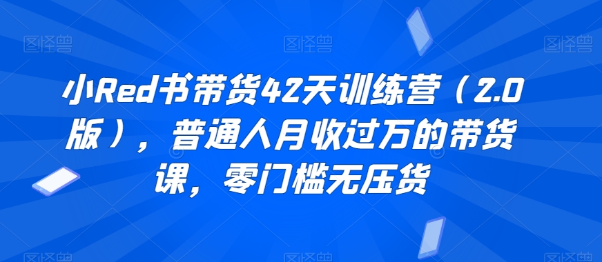 小Red书带货42天训练营（2.0版），普通人月收过万的带货课，零门槛无压货-如意资源库