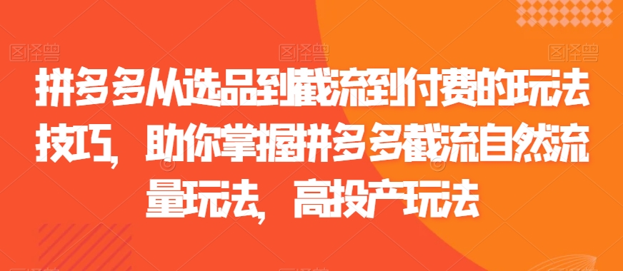 拼多多从选品到截流到付费的玩法技巧，助你掌握拼多多截流自然流量玩法，高投产玩法-如意资源库