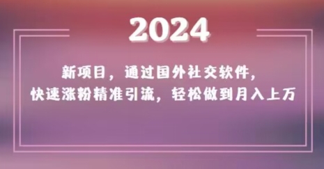 2024新项目，通过国外社交软件，快速涨粉精准引流，轻松做到月入上万【揭秘】-如意资源库