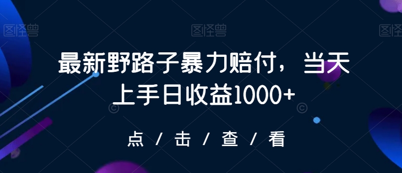 最新野路子暴力赔付，当天上手日收益1000+【仅揭秘】-如意资源库