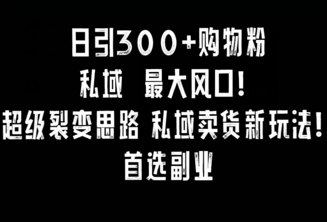 日引300+购物粉，超级裂变思路，私域卖货新玩法，小红书首选副业【揭秘】-如意资源库