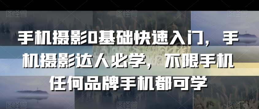 手机摄影0基础快速入门，手机摄影达人必学，不限手机任何品牌手机都可学-如意资源库