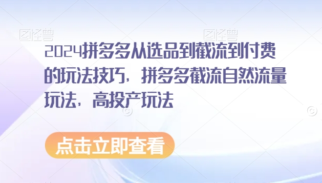 2024拼多多从选品到截流到付费的玩法技巧，拼多多截流自然流量玩法，高投产玩法-如意资源库