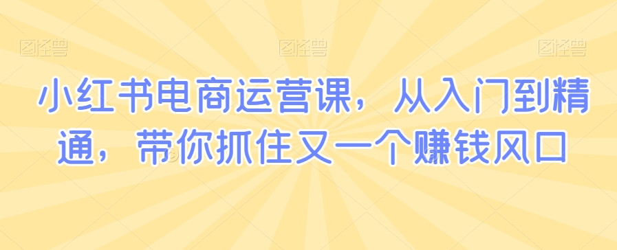 小红书电商运营课，从入门到精通，带你抓住又一个赚钱风口-如意资源库