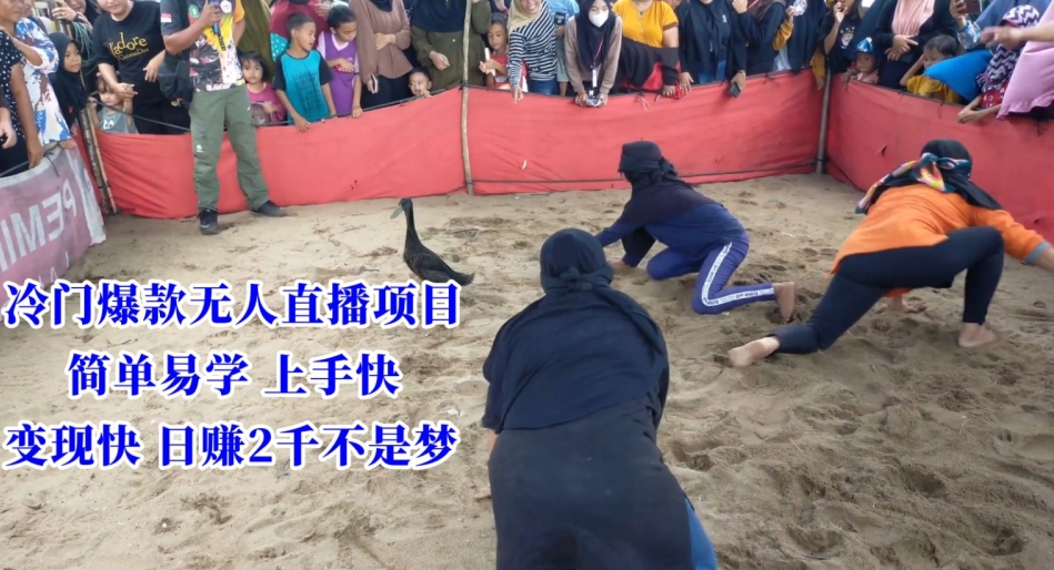 冷门爆款无人直播项目，简单易学上手快，变现快日赚2千不是梦【揭秘】-如意资源库