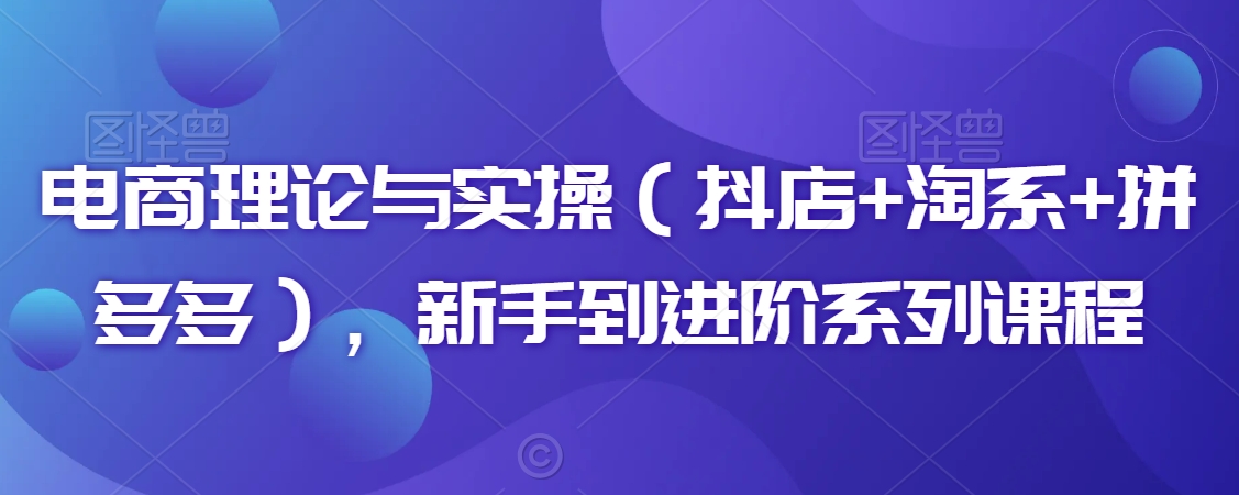 电商理论与实操（抖店+淘系+拼多多），新手到进阶系列课程-如意资源库