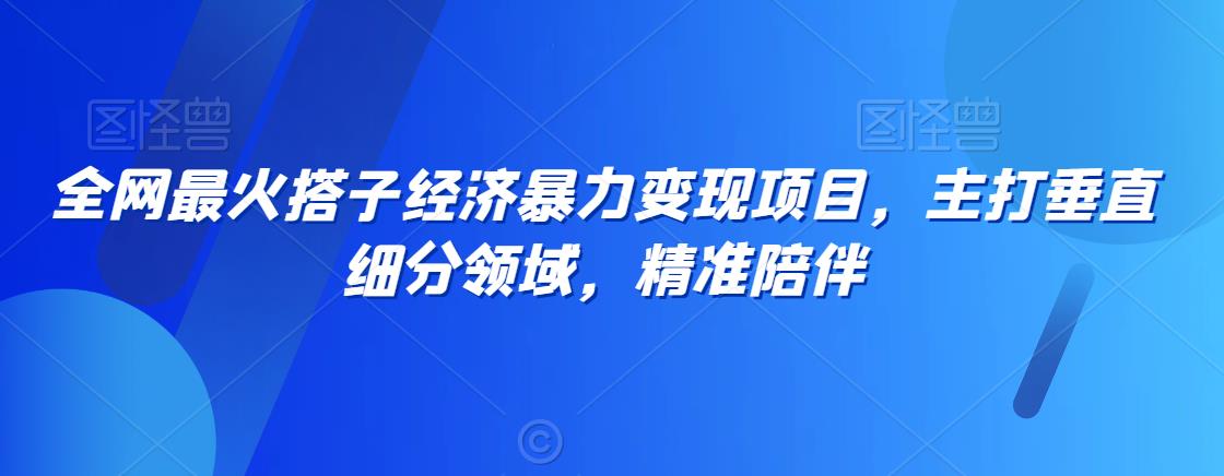 全网最火搭子经济暴力变现项目，主打垂直细分领域，精准陪伴【揭秘】-如意资源库