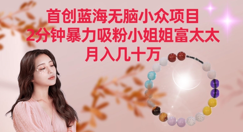 首创蓝海无脑小众项目，2分钟暴力吸粉小姐姐富太太，月入几十万【揭秘】-如意资源库