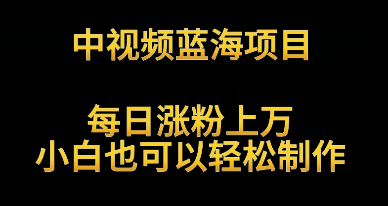 中视频蓝海项目，解读英雄人物生平，每日涨粉上万，小白也可以轻松制作，月入过万不是梦【揭秘】-如意资源库