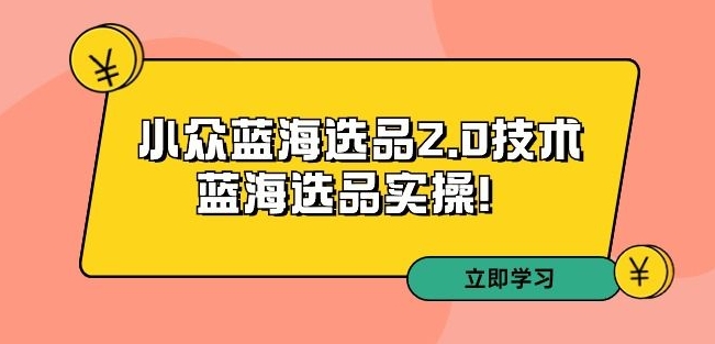拼多多培训第33期：小众蓝海选品2.0技术-蓝海选品实操！-如意资源库