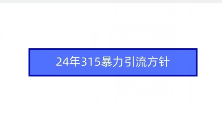 24年315暴力引流方针-如意资源库