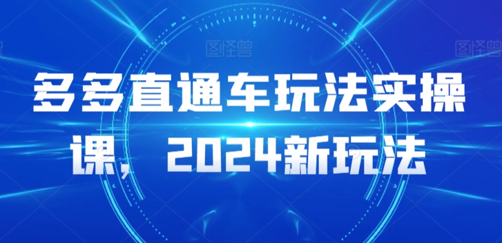 多多直通车玩法实操课，2024新玩法-如意资源库