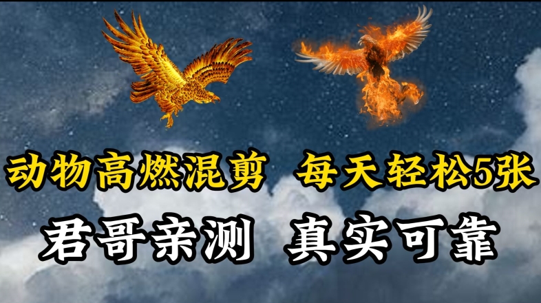 动物超燃混剪，每天轻松5张，剪辑简单大家爱看【揭秘】-如意资源库