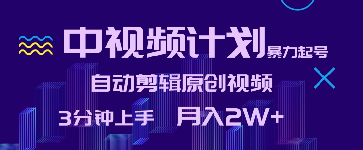 中视频计划暴力起号，自动剪辑原创视频，3分钟上手，月入2W+【揭秘】-如意资源库