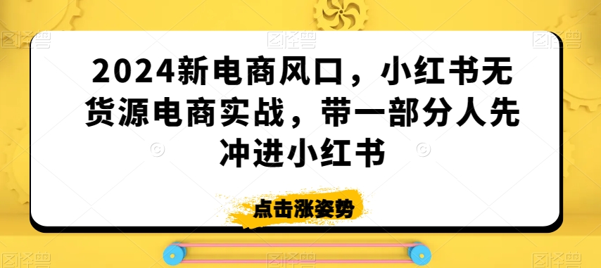 2024新电商风口，小红书无货源电商实战，带一部分人先冲进小红书-如意资源库