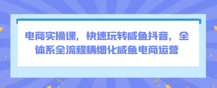 电商实操课，快速玩转咸鱼抖音，全体系全流程精细化咸鱼电商运营-如意资源库