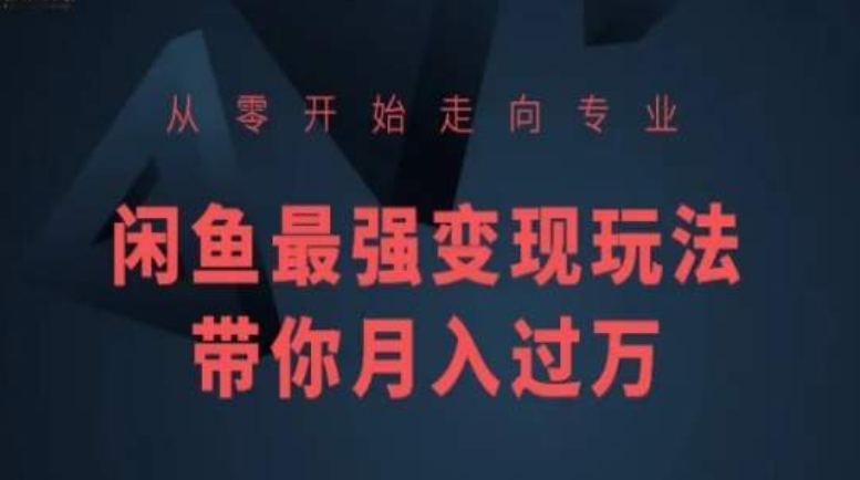从零开始走向专业，闲鱼最强变现玩法带你月入过万-如意资源库