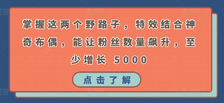 掌握这两个野路子，特效结合神奇布偶，能让粉丝数量飙升，至少增长 5000【揭秘】-如意资源库